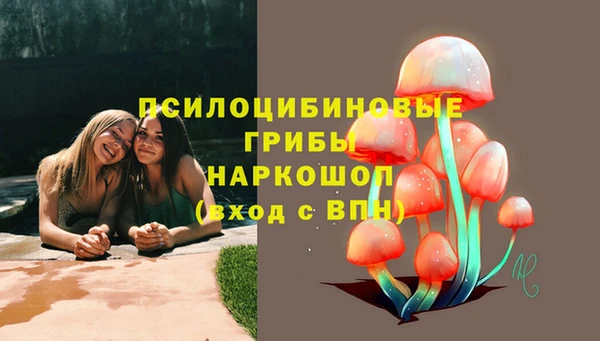 а пвп мука Бронницы