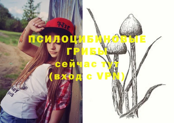 а пвп мука Бронницы