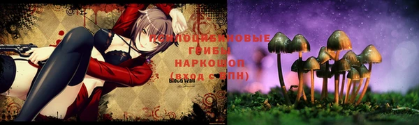 apvp Бугульма