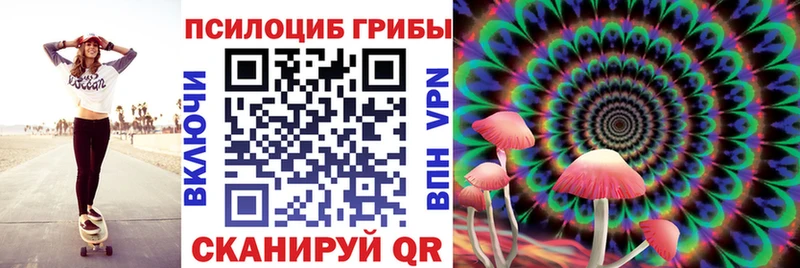 нарко площадка состав  Катайск  Галлюциногенные грибы Cubensis 